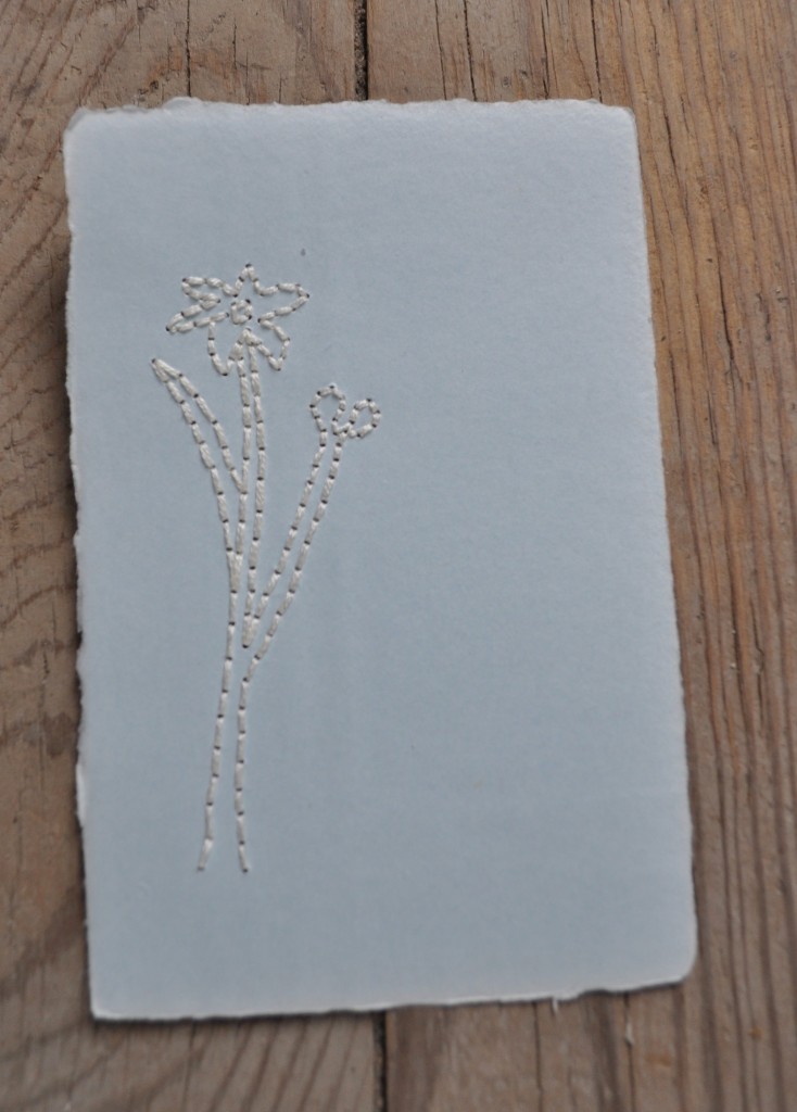 embroidered prairie plant, blue eyed grass