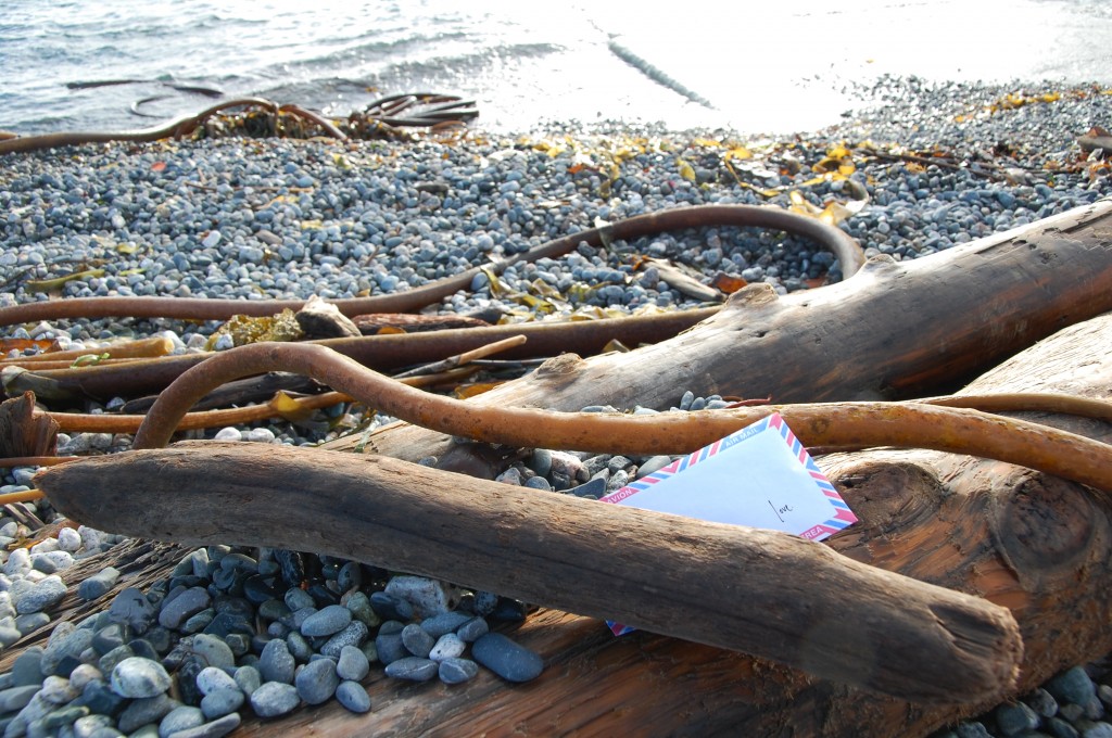 love lettering project, victoria, lindsay zier-vogel