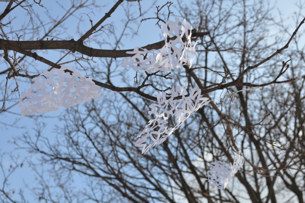 DSC_0346 paper snowflakes, lindsay zier-vogel