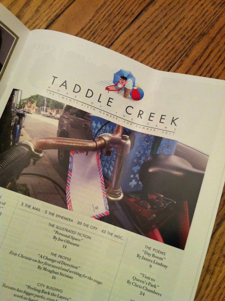 photo 9 Lindsay zier-vogel, love lettering project, Taddle Creek magazine