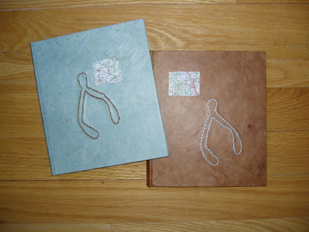 february in, hand-bound by Lindsay Zier-Vogel