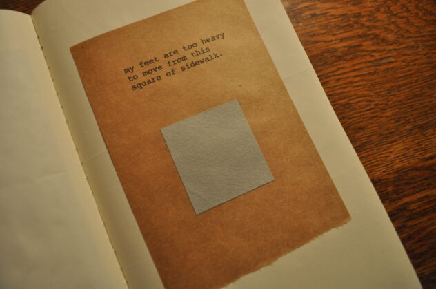 the sketchbook project 2011, lindsay zier-vogel